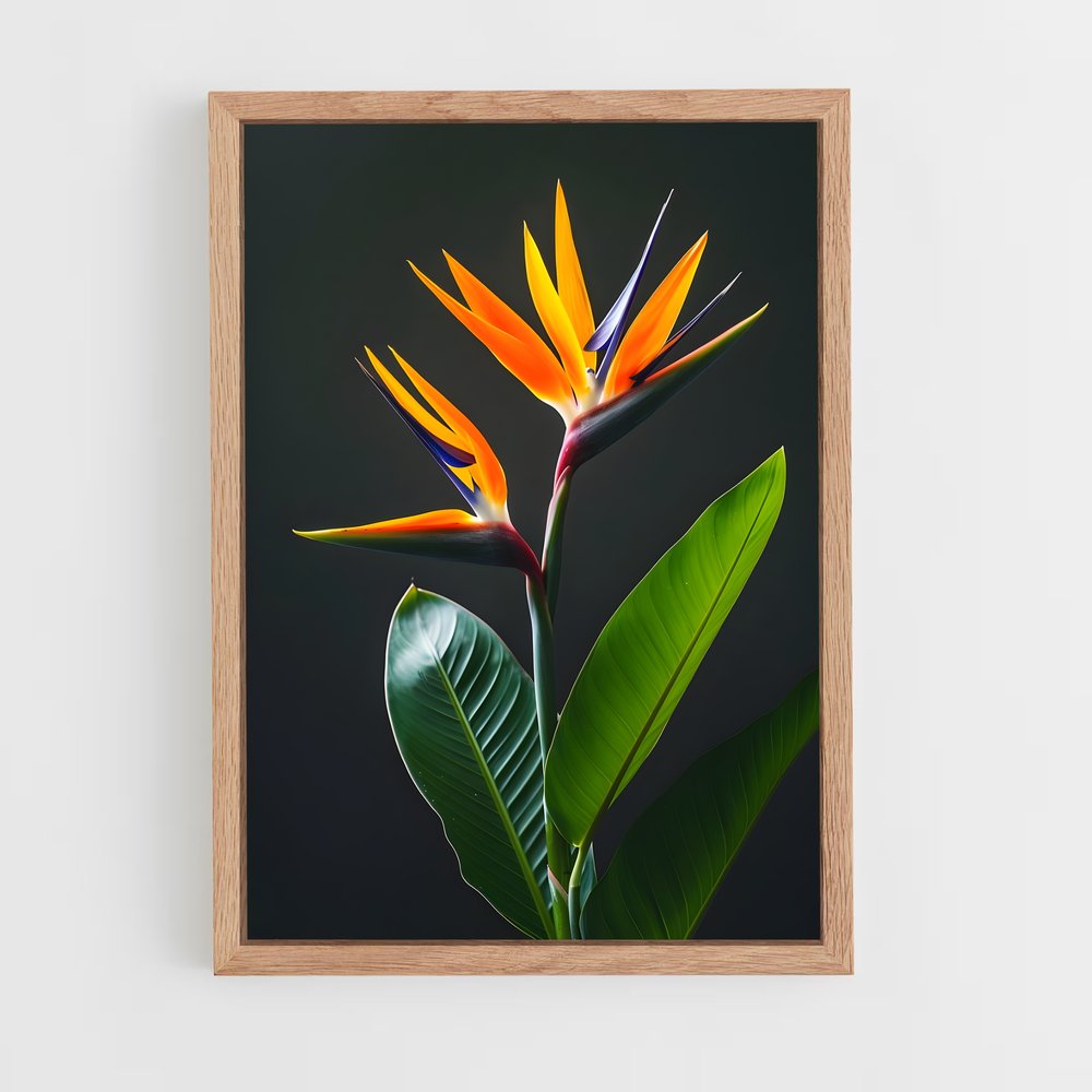 ap-bird of paradise-2 cadre Bois clair