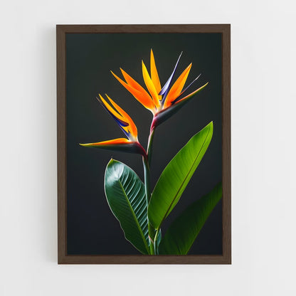ap-bird of paradise-2 cadre Bois foncé