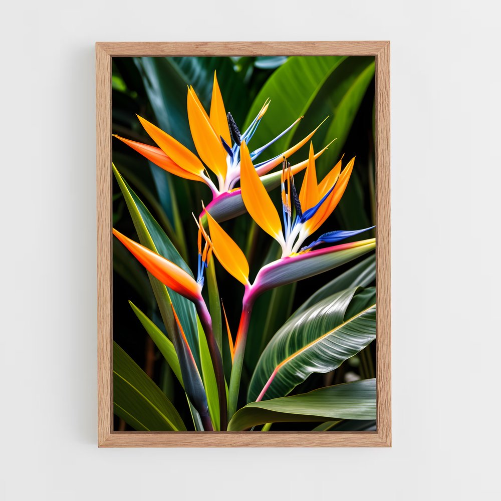 ap-bird of paradise-3 cadre Bois clair