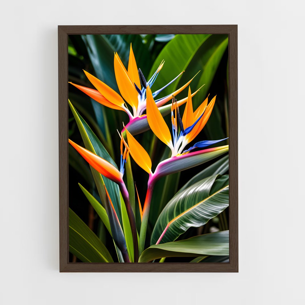ap-bird of paradise-3 cadre Bois foncé
