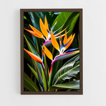 ap-bird of paradise-3 cadre Bois foncé