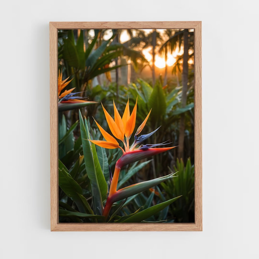 ap-bird of paradise-4 cadre Bois clair