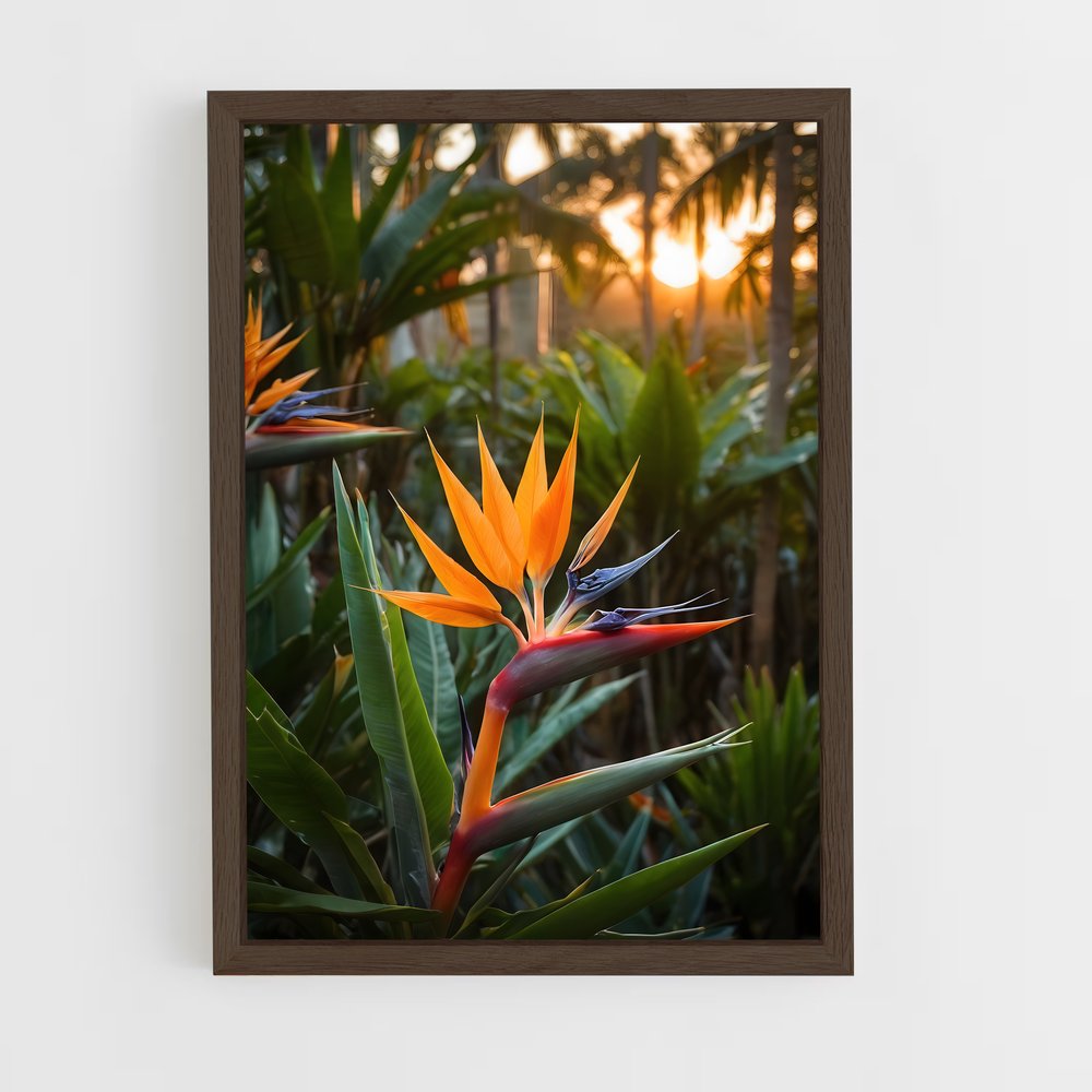 ap-bird of paradise-4 cadre Bois foncé