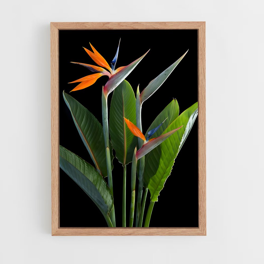 ap-bird of paradise-6 cadre Bois clair