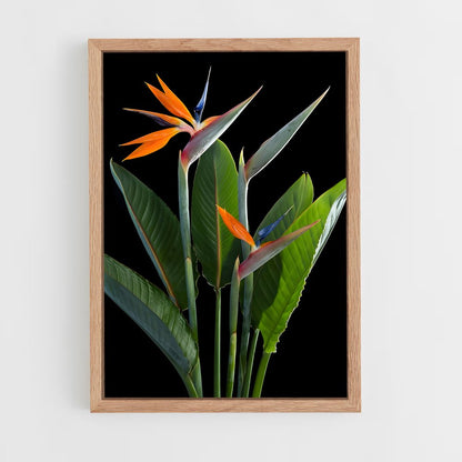 ap-bird of paradise-6 cadre Bois clair