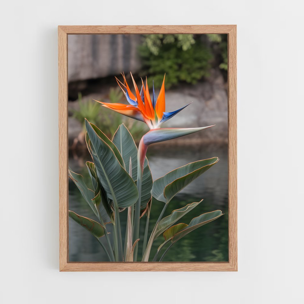 ap-bird of paradise-7 cadre Bois clair