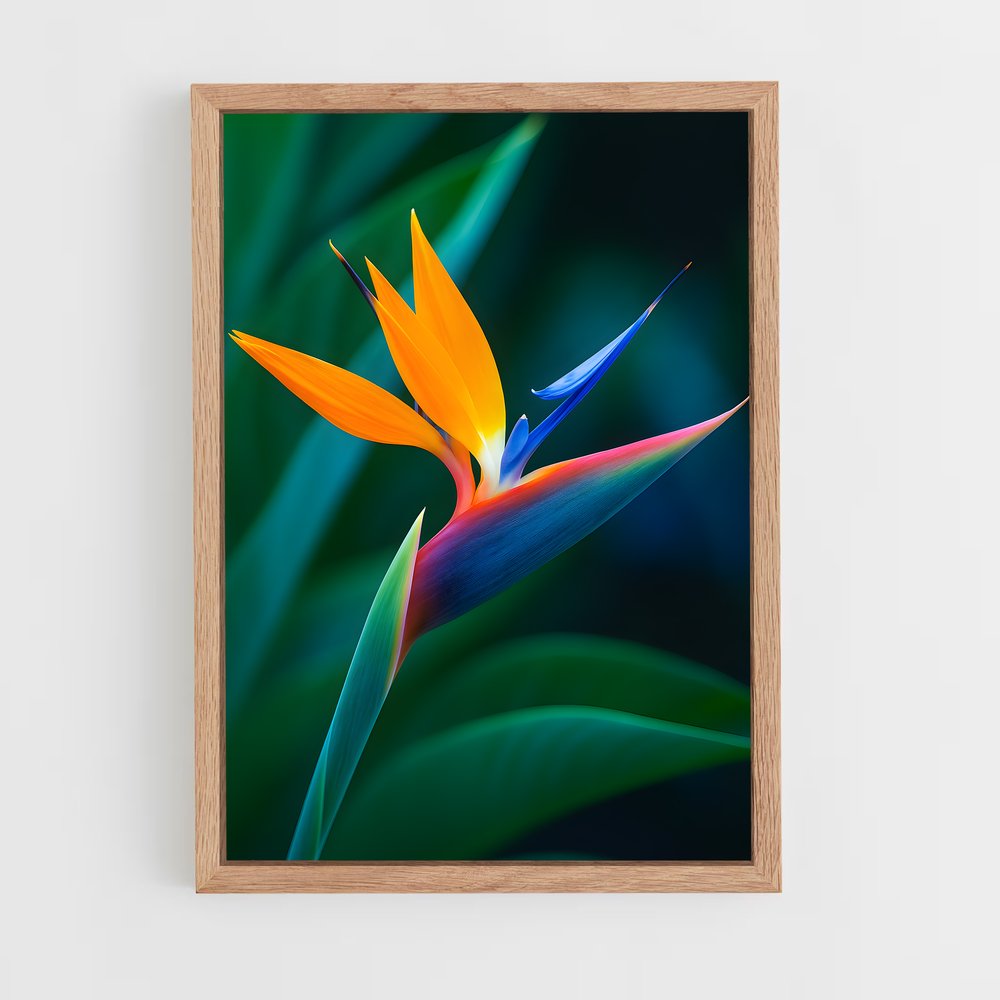 ap-bird of paradise-8 cadre Bois clair