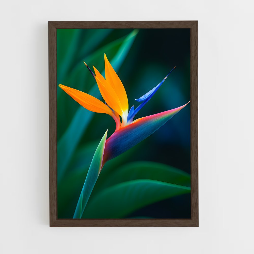 ap-bird of paradise-8 cadre Bois foncé