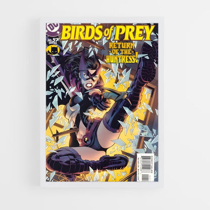 ap-birds of prey-13 cadre Blanc