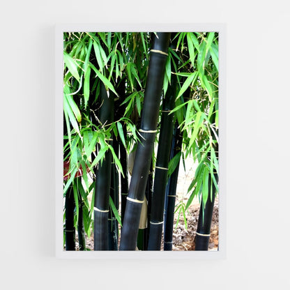 ap-black bamboo-2 cadre Blanc