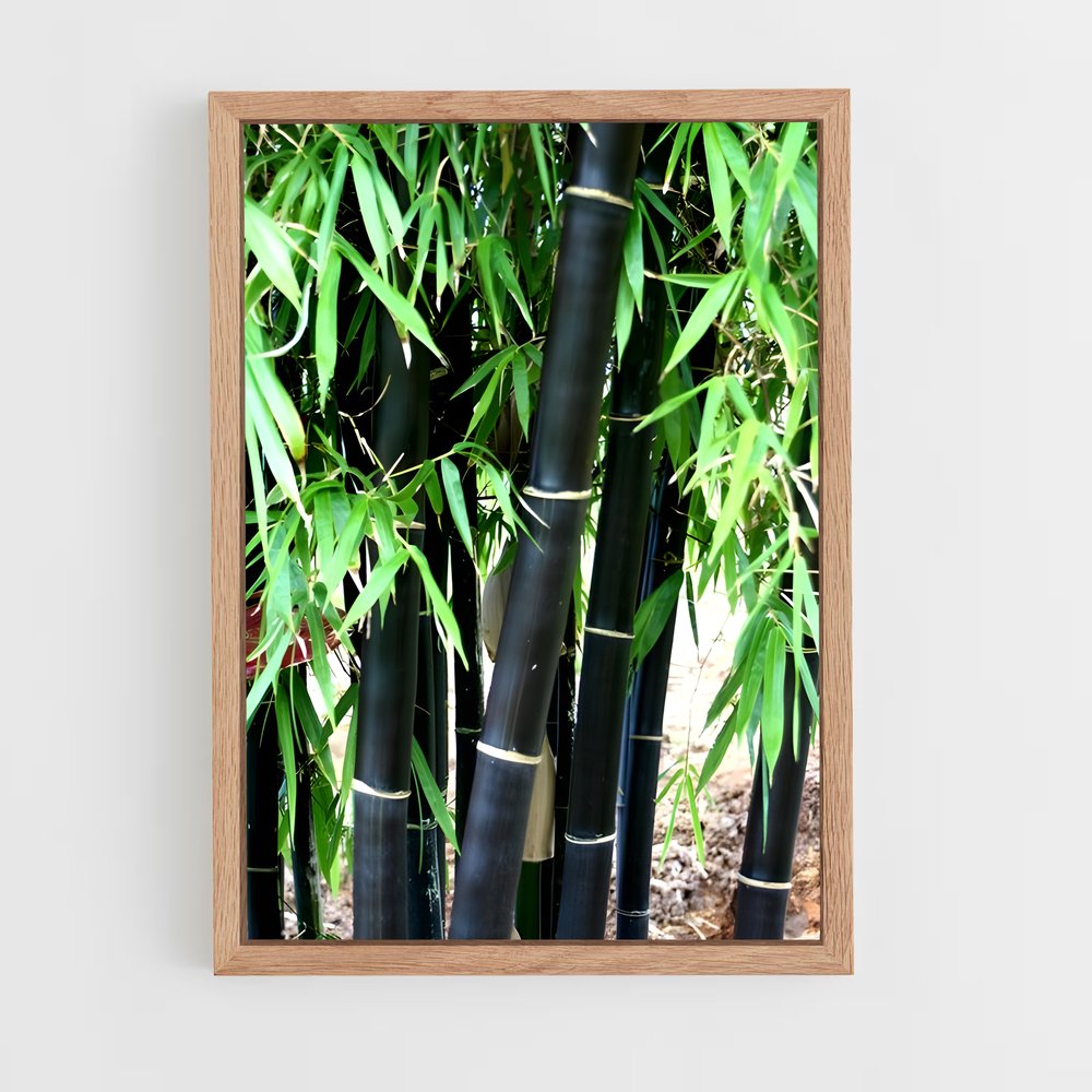ap-black bamboo-2 cadre Bois clair