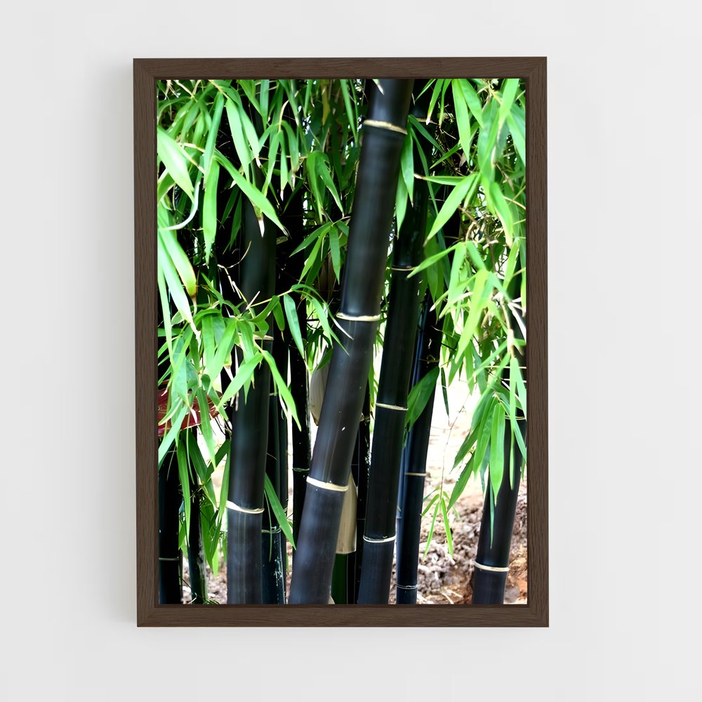 ap-black bamboo-2 cadre Bois foncé