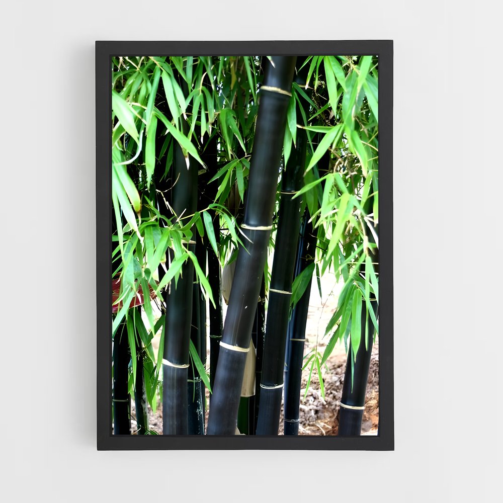 ap-black bamboo-2 cadre Noir