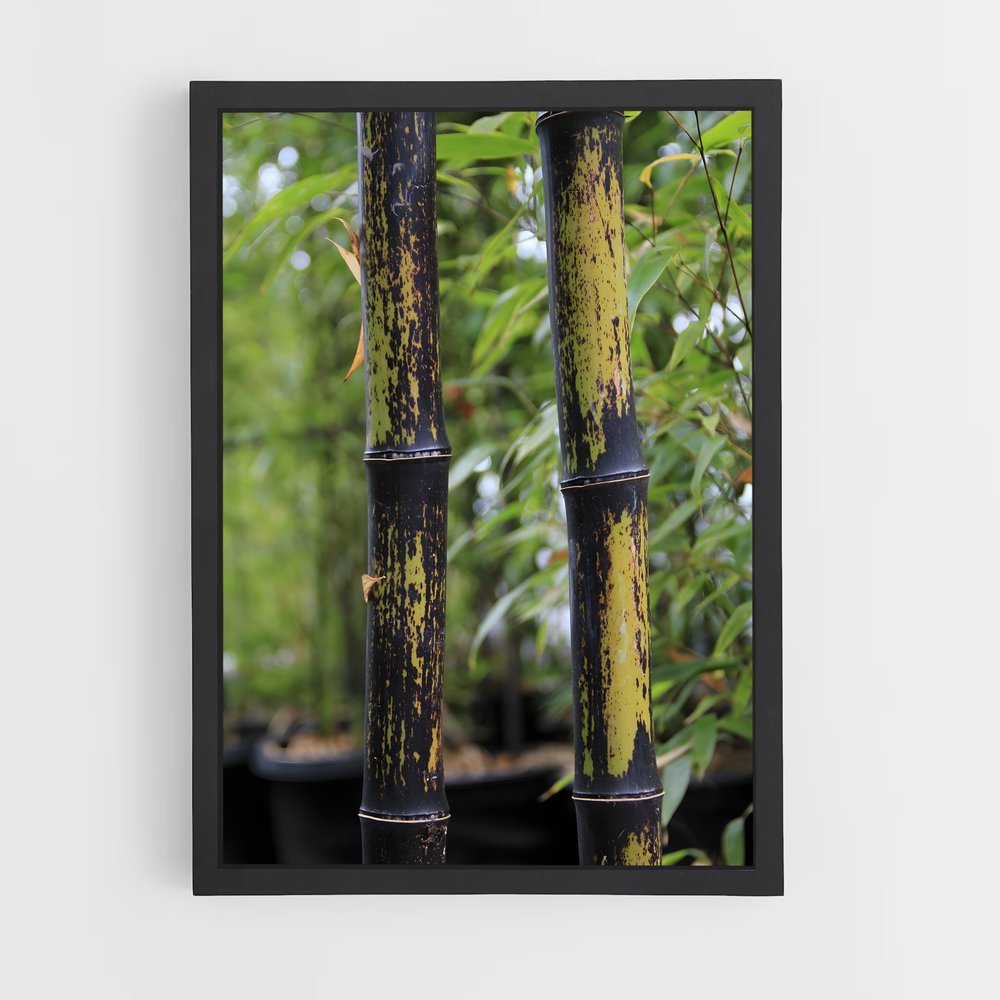 ap-black bamboo-3 cadre Noir