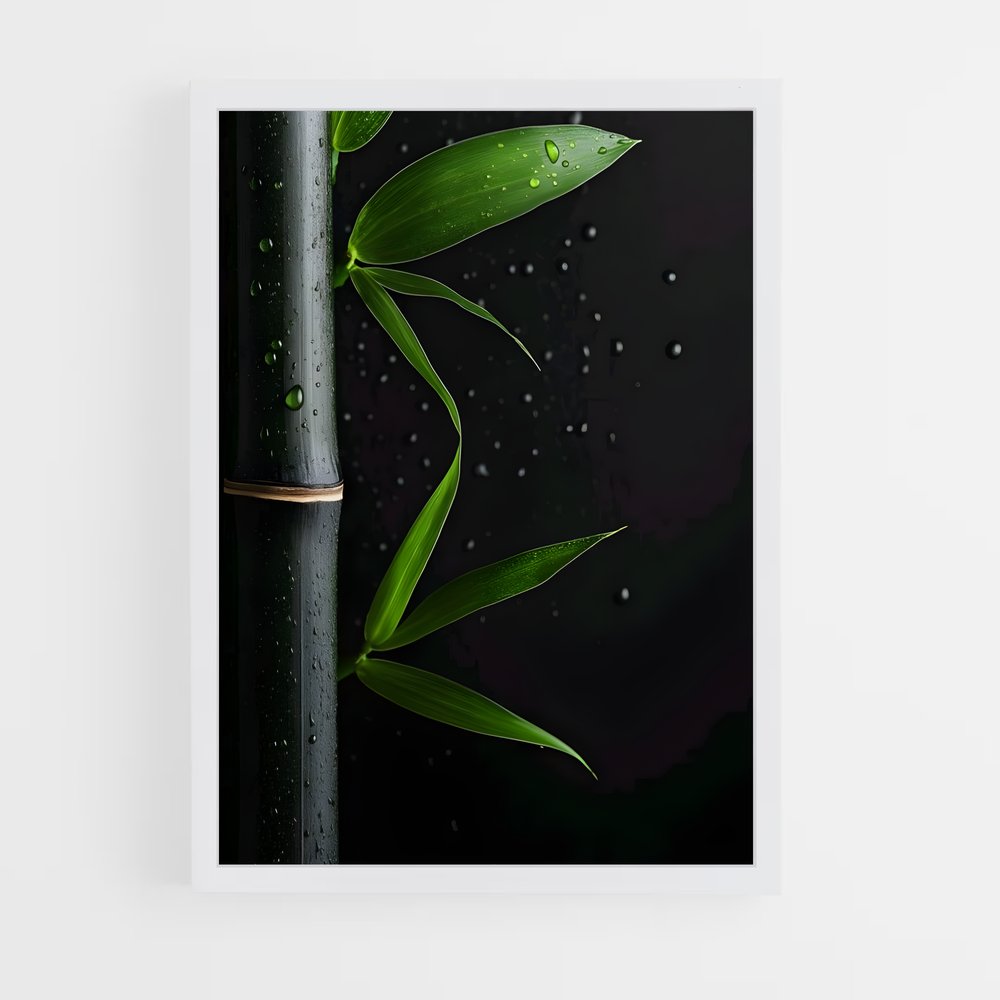ap-black bamboo-4 cadre Blanc