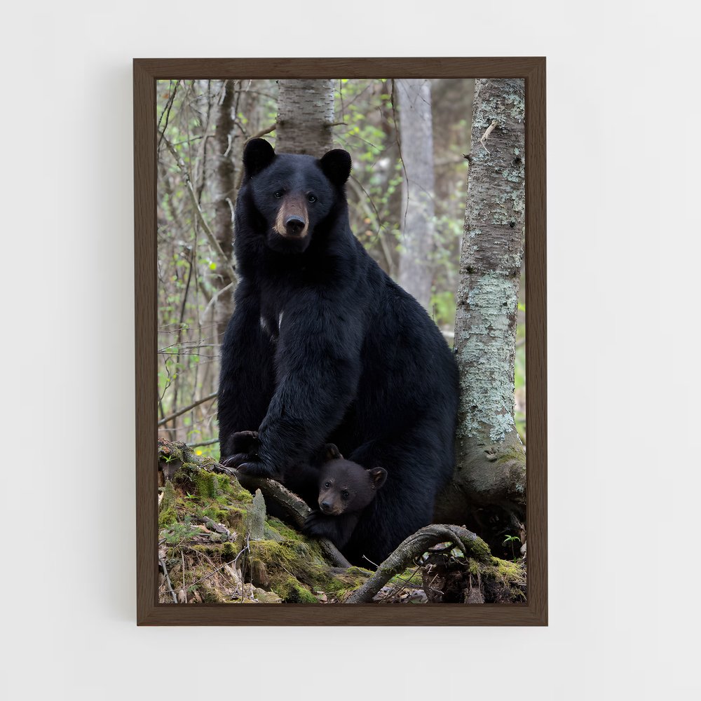 ap-black bear-1 cadre Bois foncé