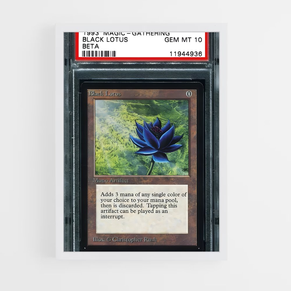 ap-black lotus-2 cadre Blanc