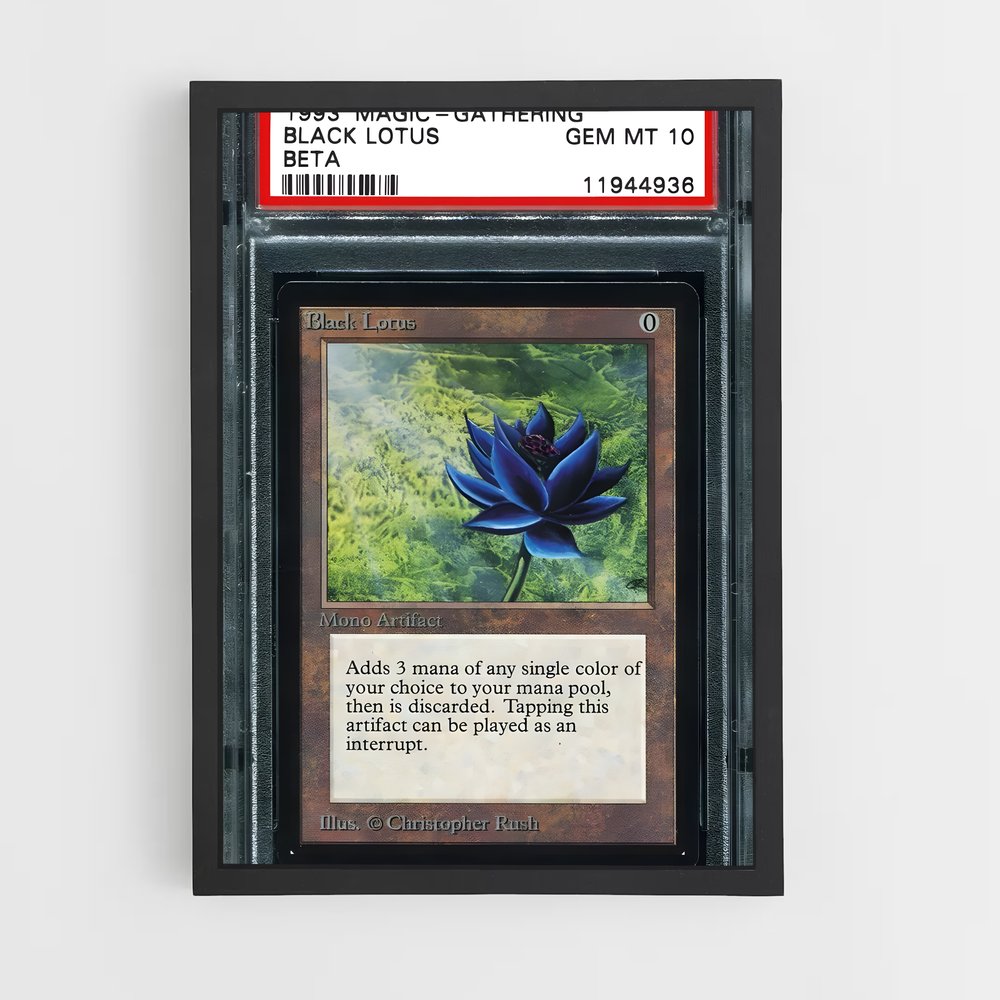 ap-black lotus-2 cadre Noir