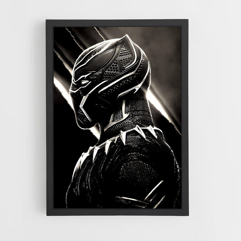 ap-black panther-13 cadre Noir
