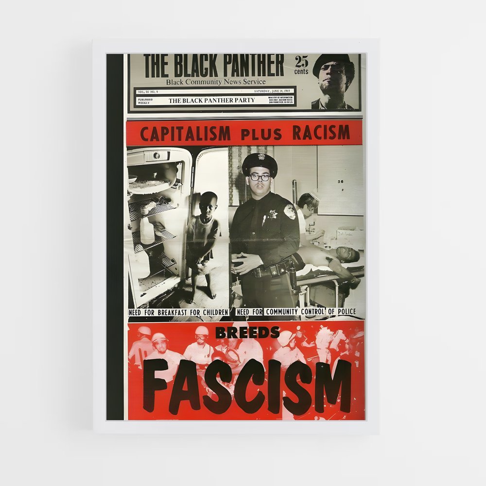 ap-black panther party-1 cadre Blanc