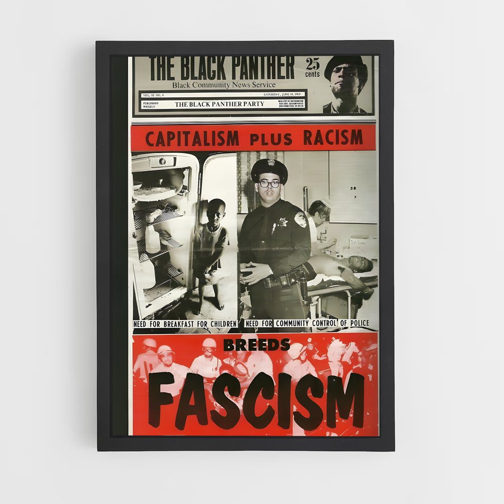 ap-black panther party-1 cadre Noir