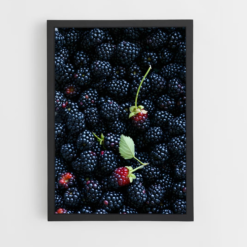 ap-blackberry-2 cadre Noir