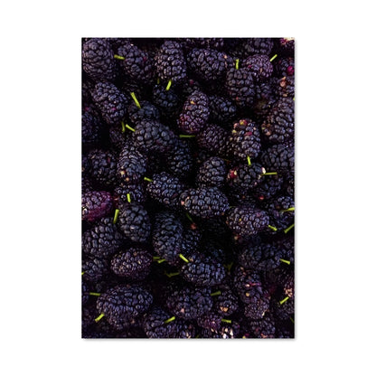 Poster Baies Noires