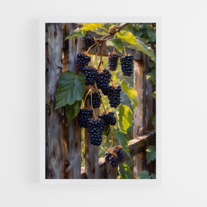 ap-blackberry-5 cadre Blanc