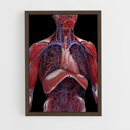 ap-blood-3 cadre Bois foncé