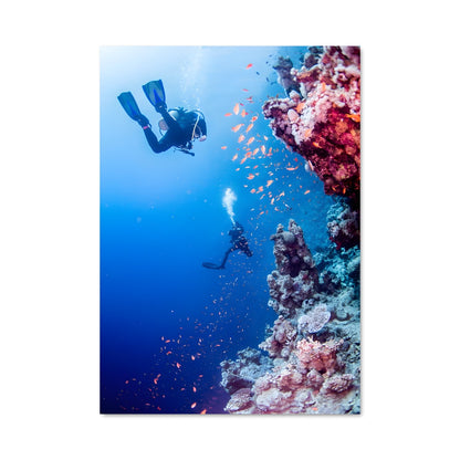 Poster Plongée dans le Bleu