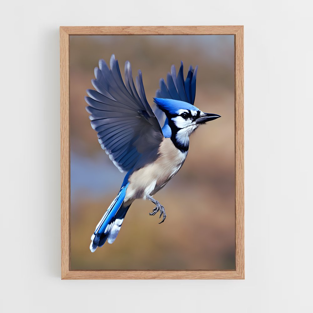 ap-blue jay-5 cadre Bois clair