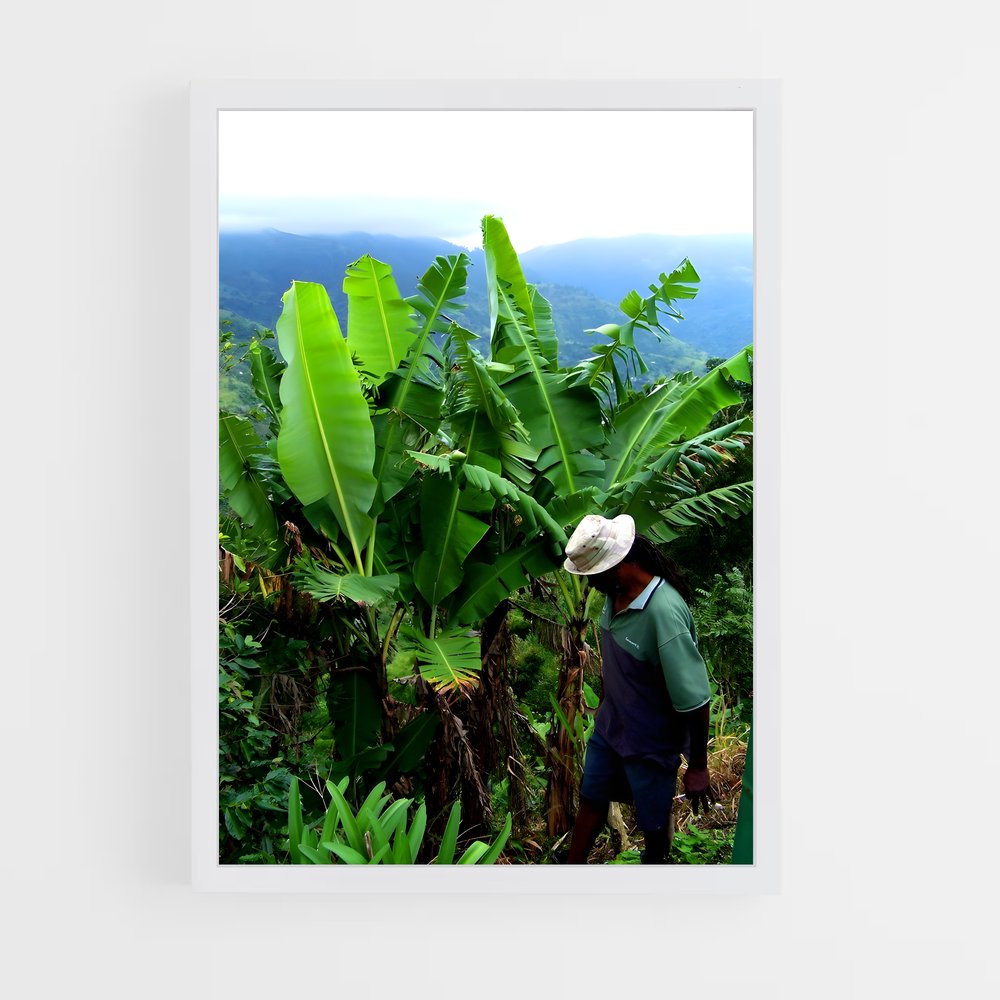 ap-blue mountains-3 cadre Blanc