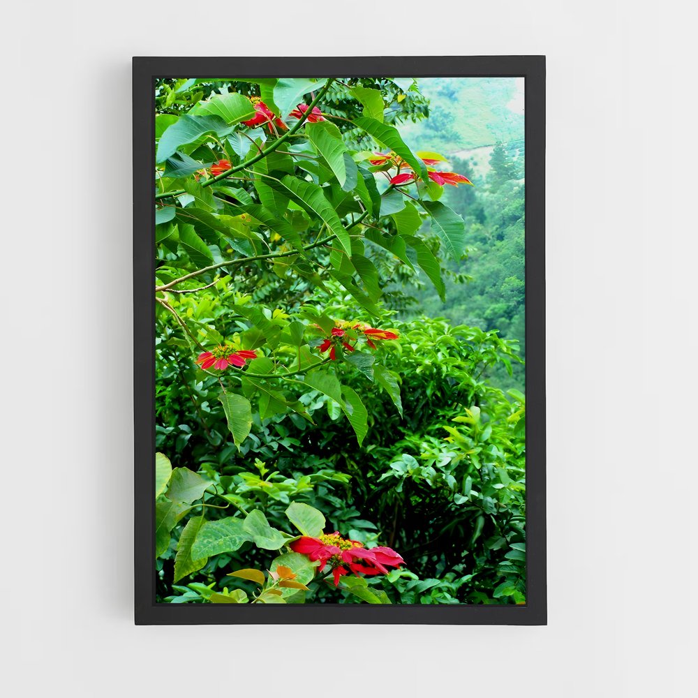 ap-blue mountains-7 cadre Noir