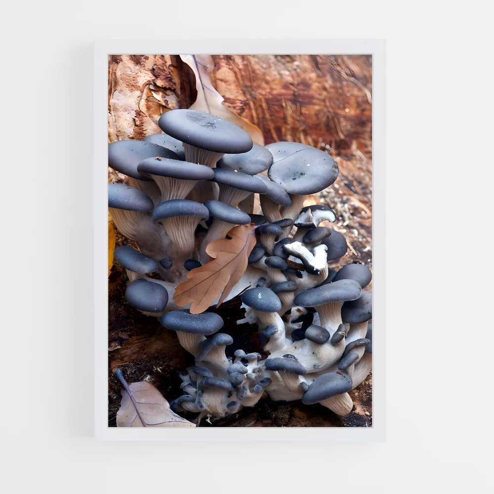 ap-blue oyster-1 cadre Blanc