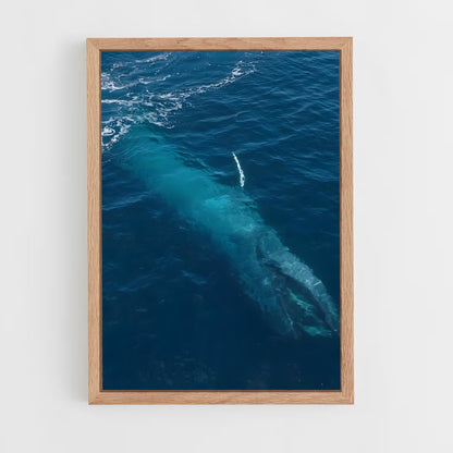 ap-blue whale-3 cadre Bois clair