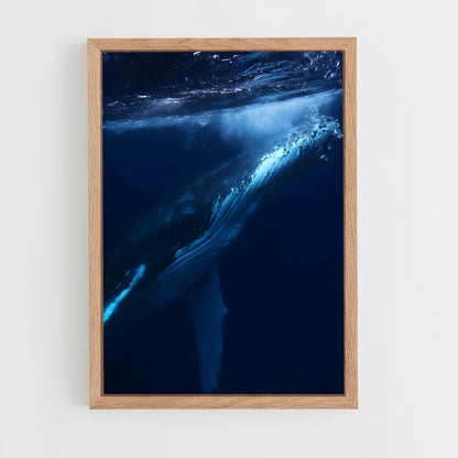 ap-blue whale-8 cadre Bois clair