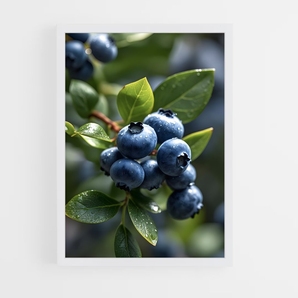 ap-blueberry-1 cadre Blanc