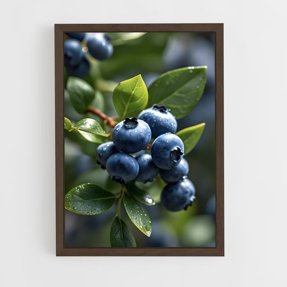 ap-blueberry-1 cadre Bois foncé