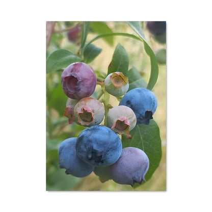 Poster Blueberry Bliss