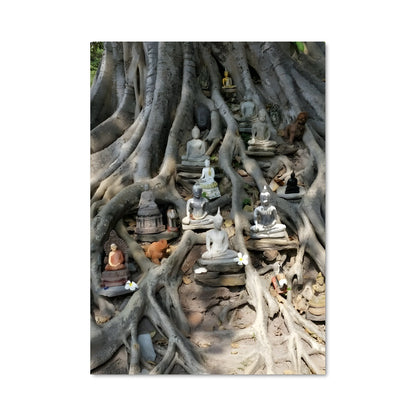 Poster Arbre de Sagesse