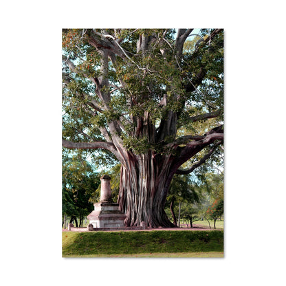 Poster L'Arbre de Bodhi