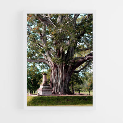 ap-bodhi tree-2 cadre Blanc