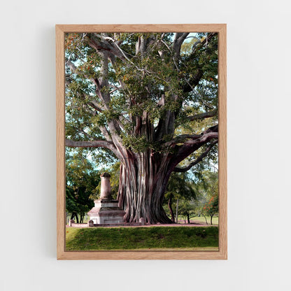 ap-bodhi tree-2 cadre Bois clair