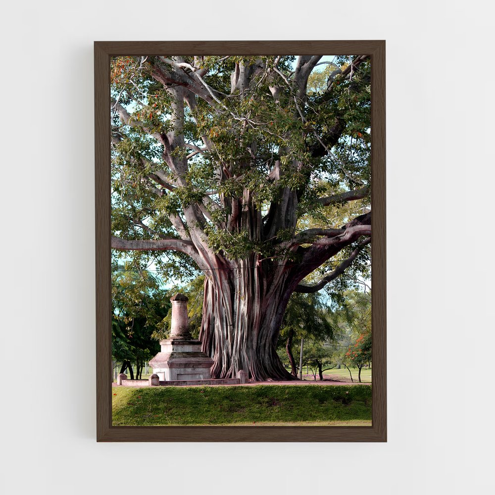 ap-bodhi tree-2 cadre Bois foncé