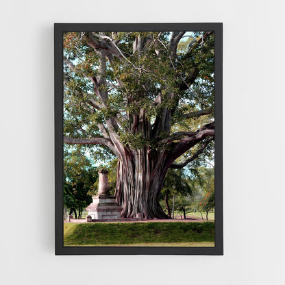 ap-bodhi tree-2 cadre Noir