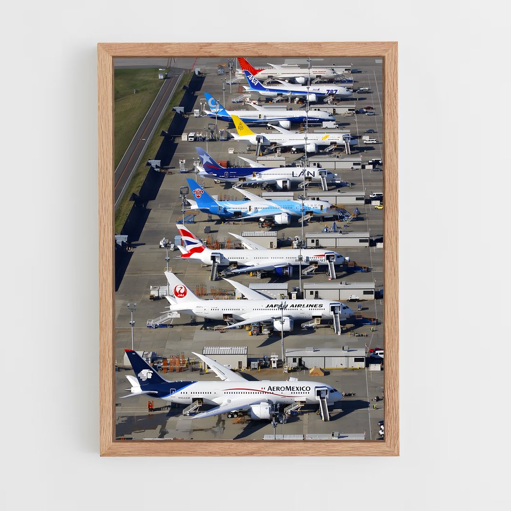 ap-boeing 787 dreamliner-5 cadre Bois clair