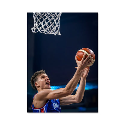 Poster Bogdan bogdanovic 58923