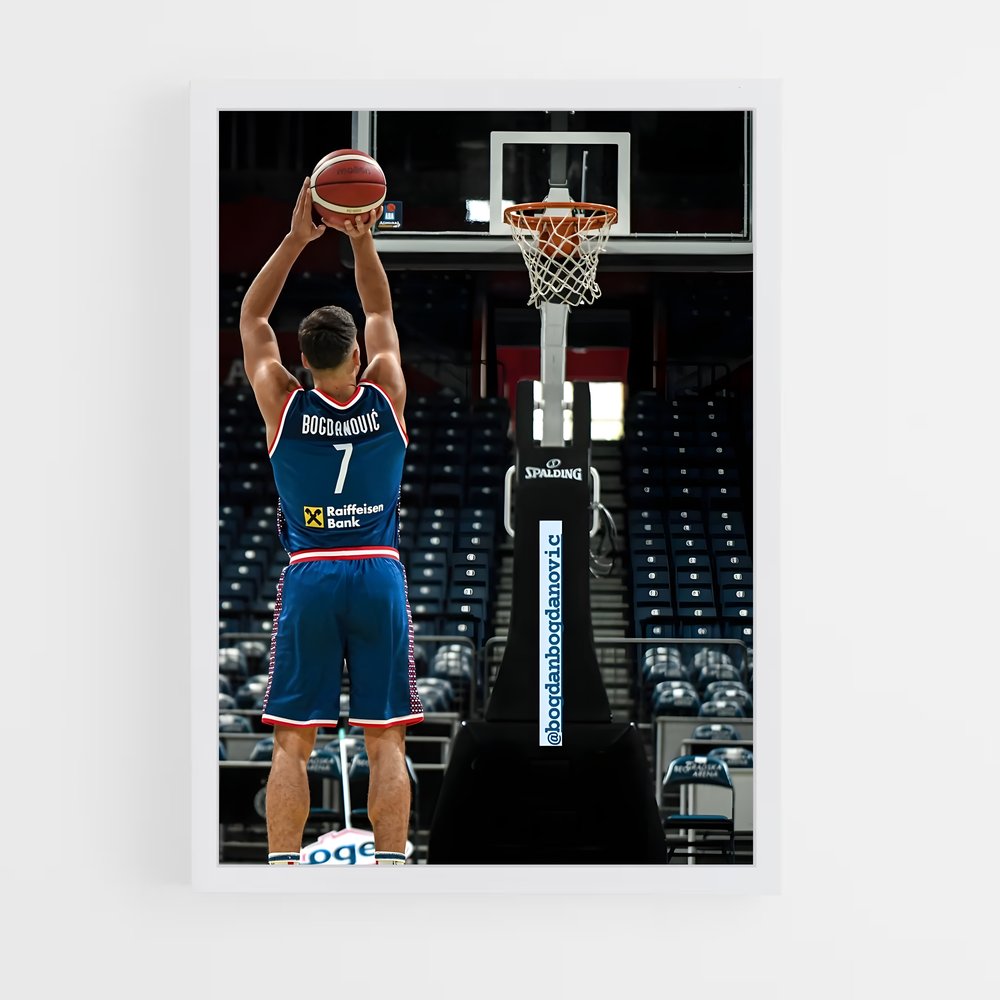 ap-bogdan bogdanovic-2 cadre Blanc