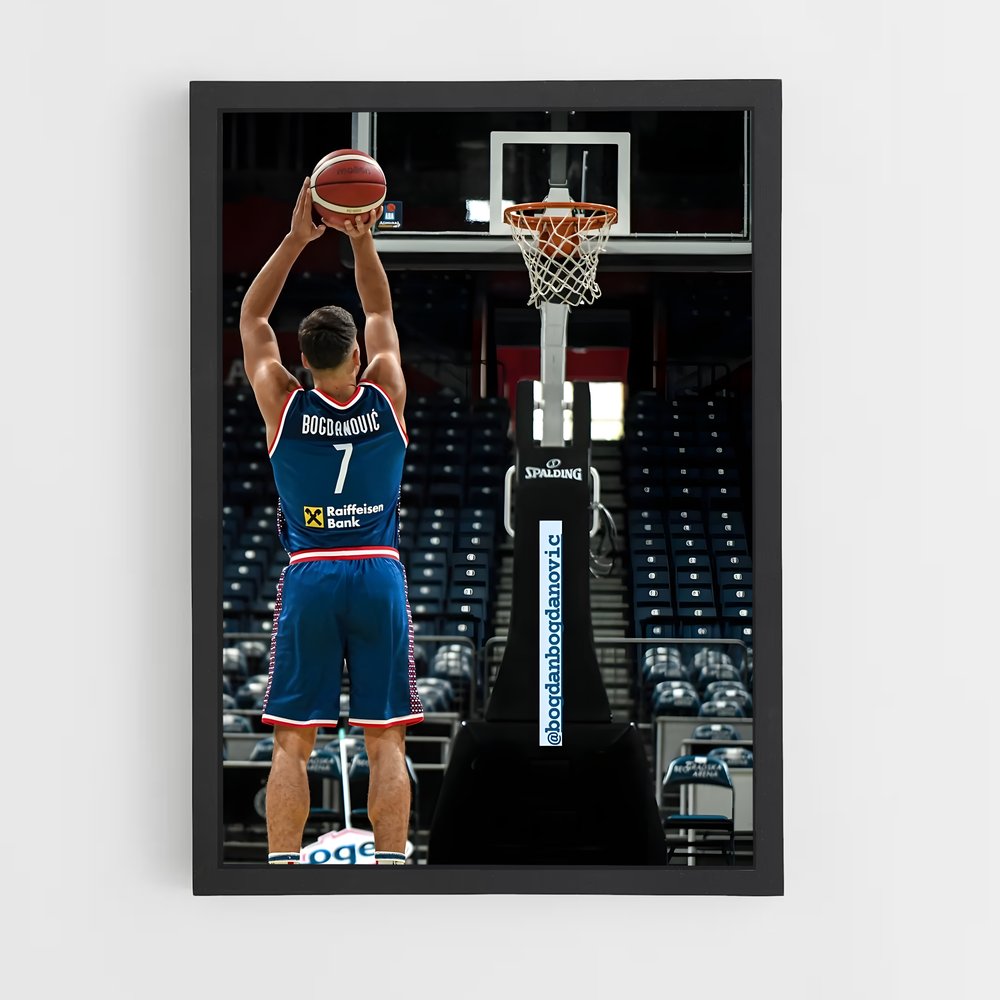 ap-bogdan bogdanovic-2 cadre Noir