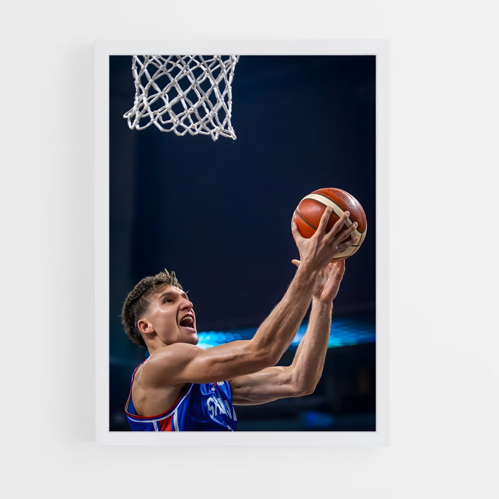 ap-bogdan bogdanovic-5 cadre Blanc